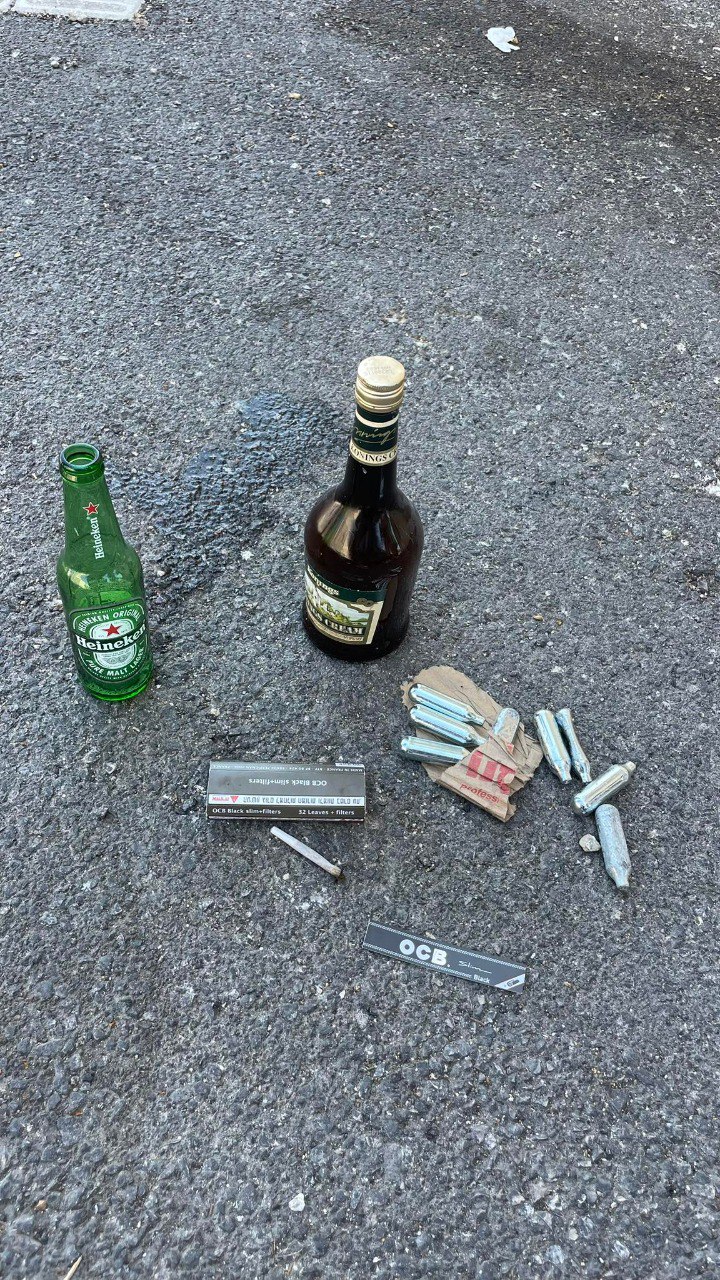 סיירות הורים