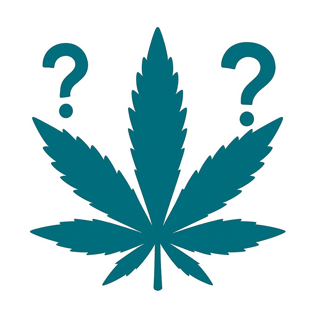 קנאביס: מה חשוב לדעת, במיוחד כשמדובר בצעירים?